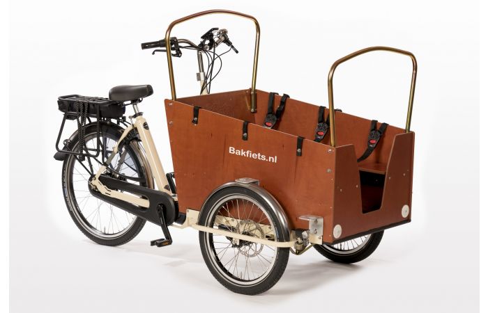 nerveus worden Heerlijk Leed Bakfiets.nl Daycare Trike Steps elektrische bakfiets